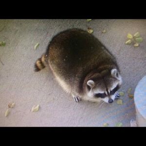 Meet your Posher, Bryan